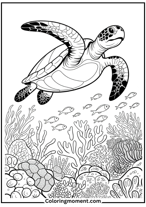 Sea Turtle Over Coral