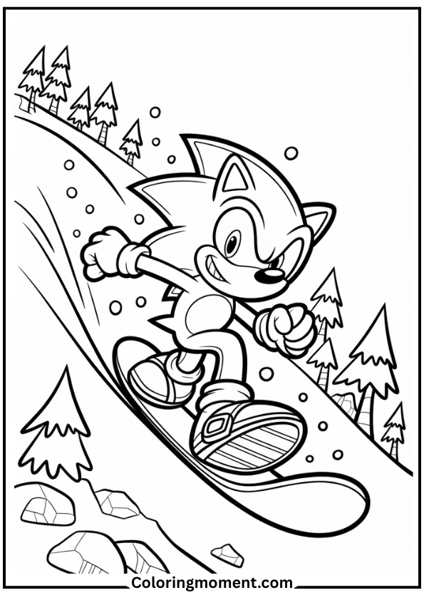 Sonic Skating or Snowboarding