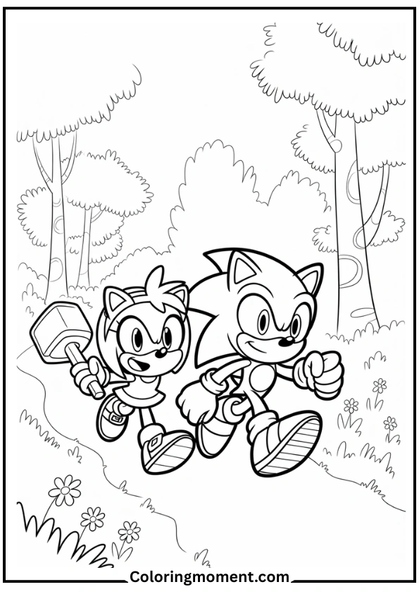 Sonic and Amy Rose Walking Together