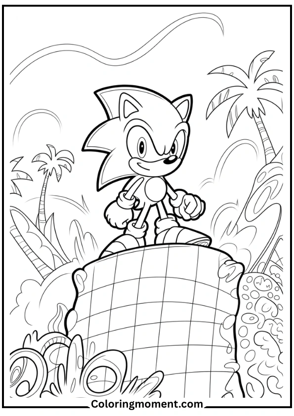 Sonic in a Green Hill Zone Scene