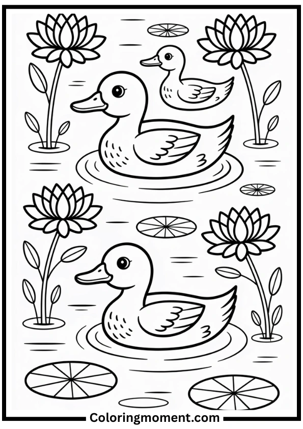 Ducks Swimming on Lotus Pond Coloring Page