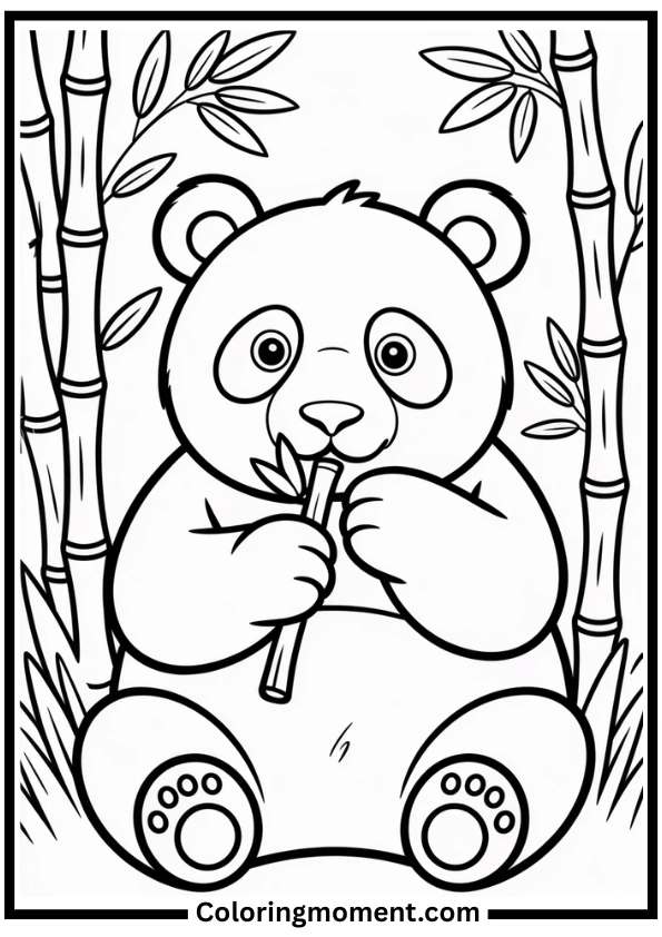 Panda Eating Bamboo Coloring Page